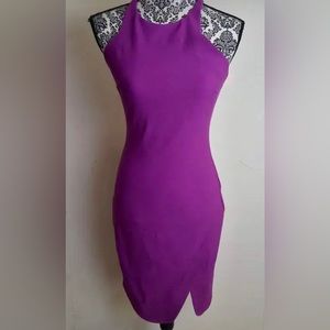 Elizabeth and James Purple Sleeveless Size 4 Dress